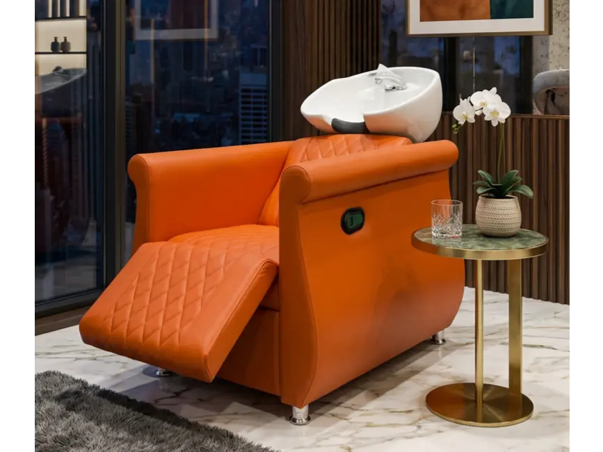 Shampoo Chairs